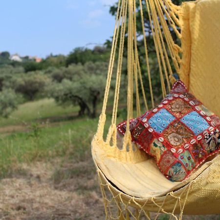 Villa Sarno Montesilvano Marina Buitenkant foto