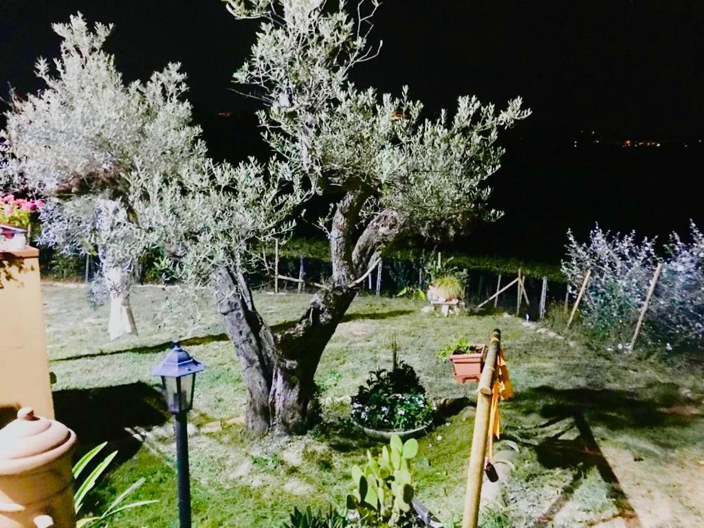 Villa Sarno Montesilvano Marina Buitenkant foto